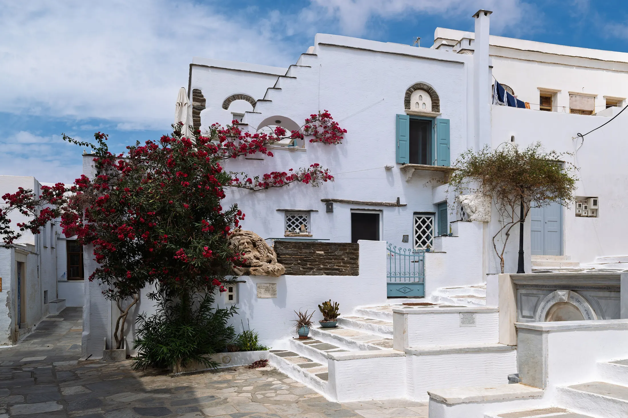Whitewashed square with bougainvillea